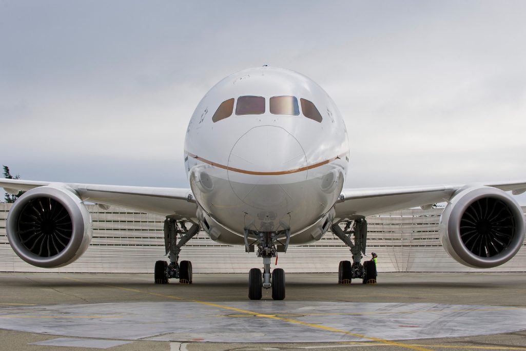 A united 787 Dreamliner